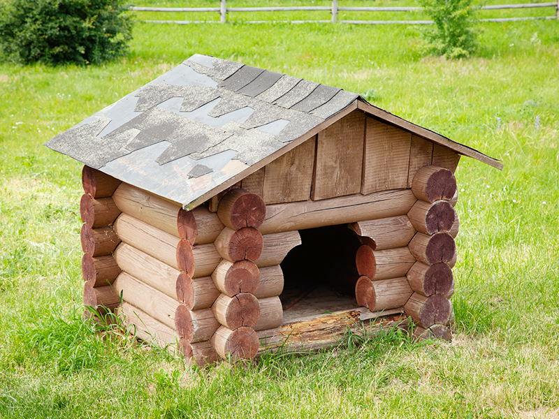 犬小屋製作 矢掛町で屋根工事は有限会社立間建設へ